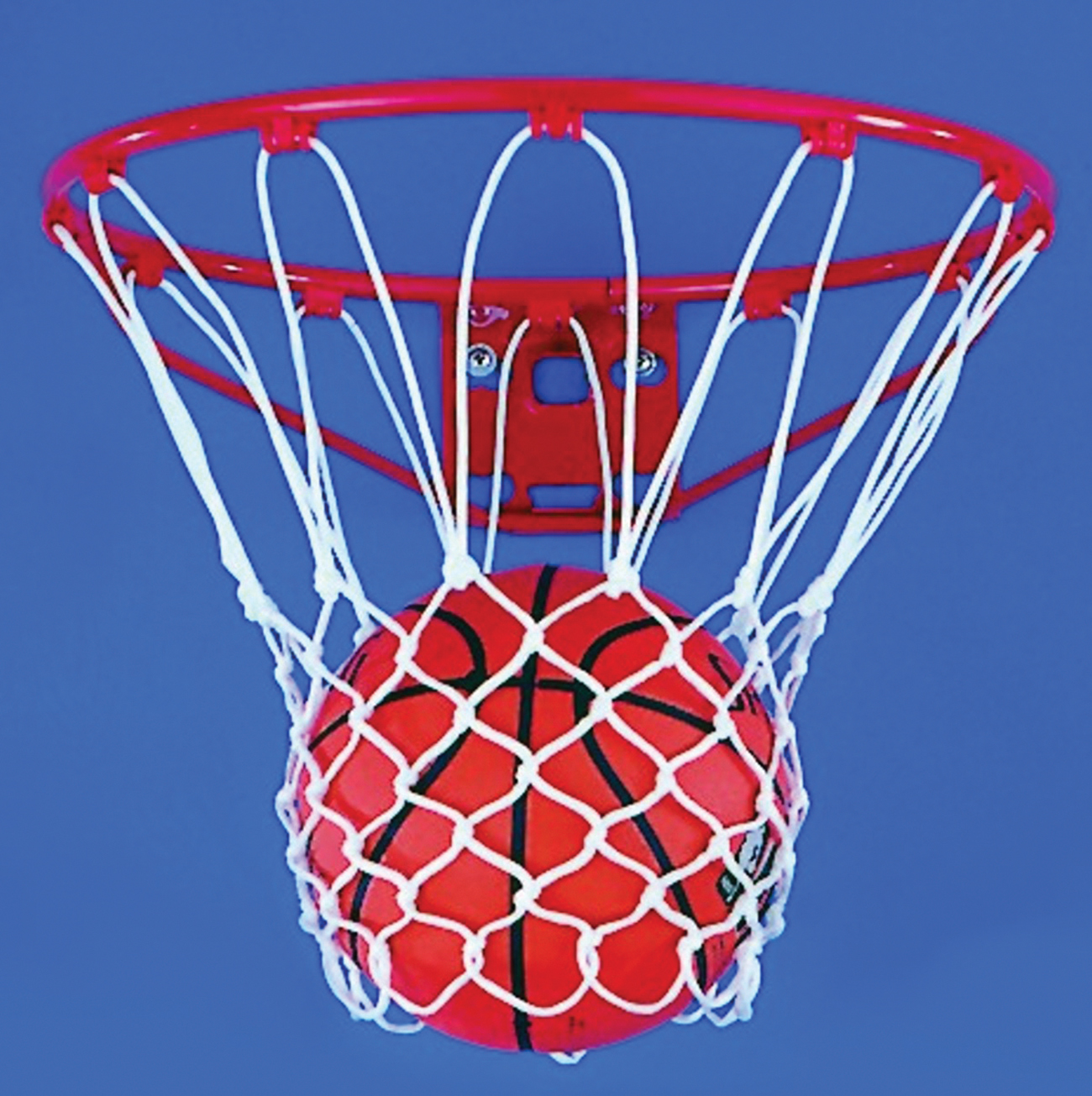 Hot Hoops New Basketball Products Team Insight